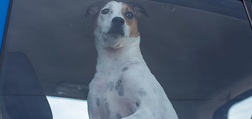 Car Lockout Solutions in North Fair Oaks, California